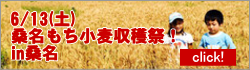 ２０１５年桑名もち小麦収穫祭