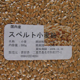 スペルト小麦（古代小麦）